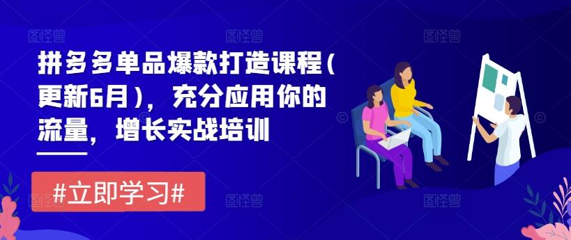 拼多多单品爆款打造课程(更新6月)，充分应用你的流量，增长实战培训-云创网