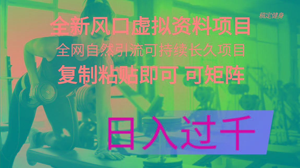 全新风口虚拟资料项目 全网自然引流可持续长久项目 复制粘贴即可可矩阵...-云创网