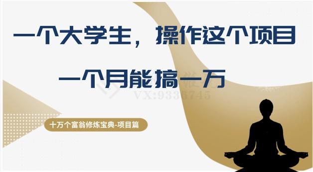 十万个富翁修炼宝典之4.一个大学生操作这个项目，一个月能搞一万-云创网