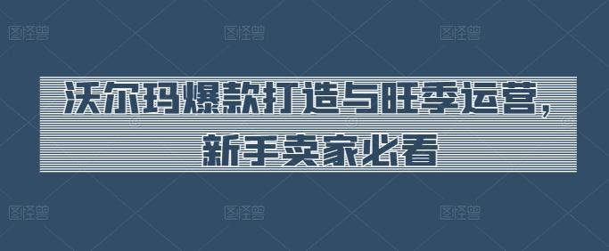 沃尔玛爆款打造与旺季运营，新手卖家必看-云创网