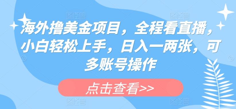 海外撸美金项目，全程看直播，小白轻松上手，日入一两张，可多账号操作【揭秘】-云创网