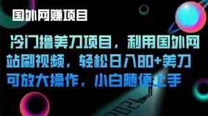 冷门撸美刀项目，利用国外网站刷视频，轻松日入80+美刀，可放大操作，小白随便上手-云创网