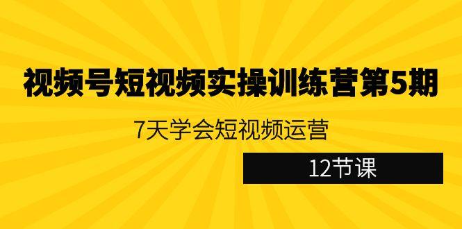 视频号短视频实操训练营第5期：7天学会短视频运营(12节课)-云创网
