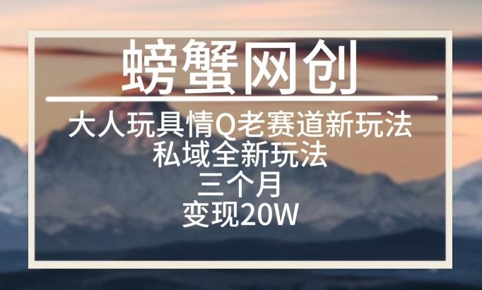 大人玩具情Q用品赛道私域全新玩法，三个月变现20W，老项目新思路【揭秘】-云创网