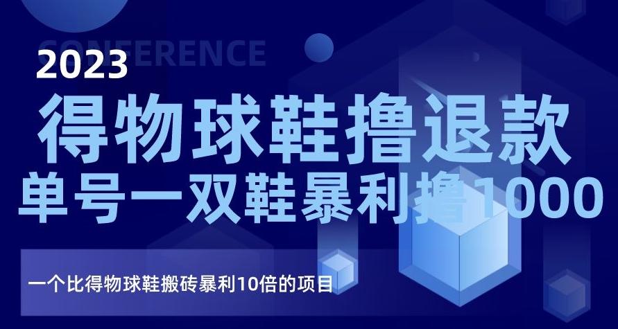 2023得物球鞋撸退款，单号一双鞋暴利撸1000，一个比得物球鞋搬砖暴利10倍的项目【揭秘】-云创网