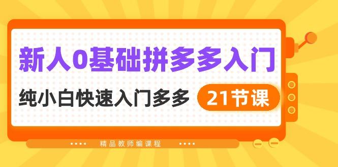 新人0基础拼多多入门，​纯小白快速入门多多(21节课-云创网