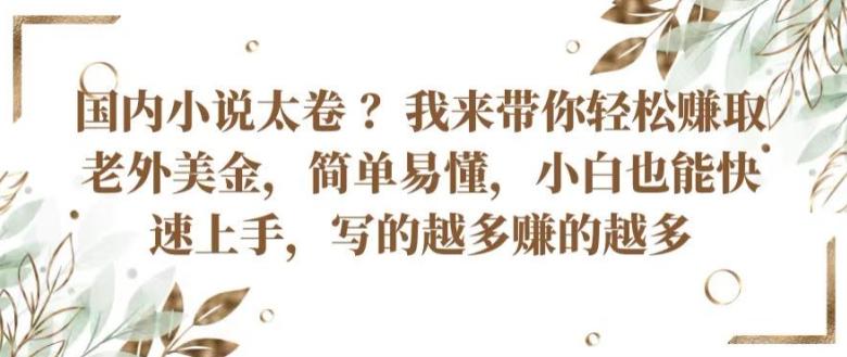 国内小说太卷 ?带你轻松赚取老外美金，简单易懂，小白也能快速上手，写的越多赚的越多【揭秘】-云创网