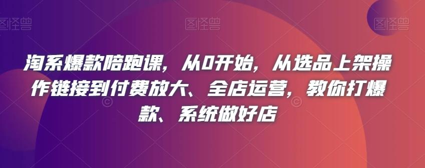 淘系爆款陪跑课，从0开始，从选品上架操作链接到付费放大、全店运营，教你打爆款、系统做好店-云创网