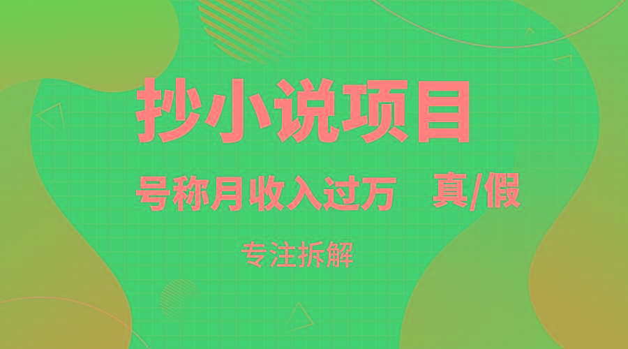 抄小说项目，号称月入过万，到底是否真实，能不能做，详细拆解-云创网