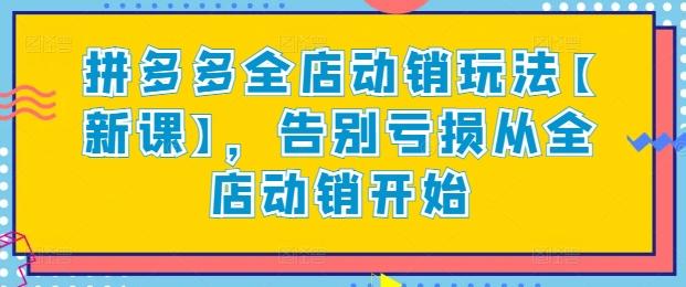 拼多多全店动销玩法【新课】，告别亏损从全店动销开始-云创网