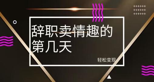 冷门赛道，辞职卖情趣的第几天，超暴力项目-云创网
