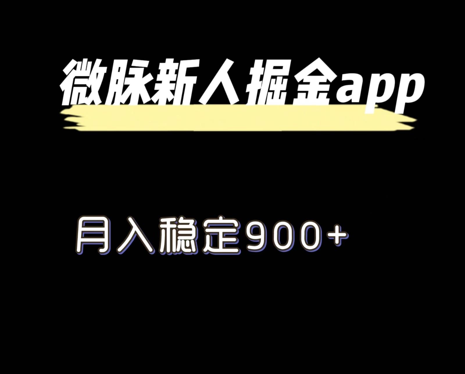 最新微脉长久项目,拉新掘金,月入稳定900+-云创网