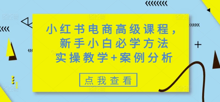 小红书电商高级课程，新手小白必学方法，实操教学+案例分析-云创网