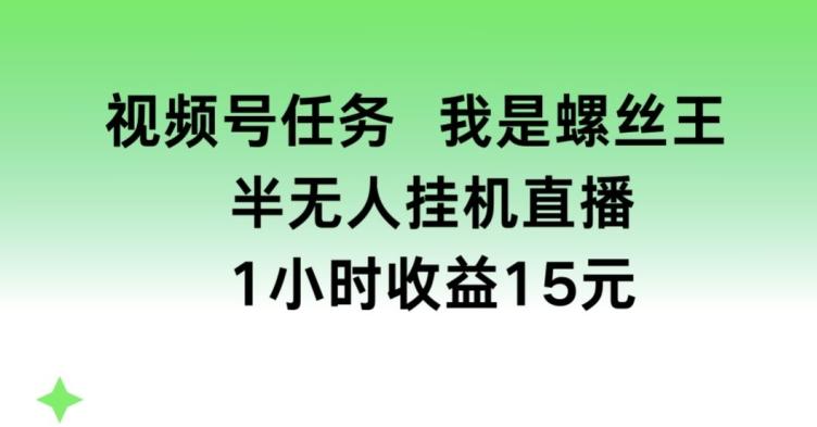 视频号任务，我是螺丝王， 半无人挂机1小时收益15元【揭秘】-云创网
