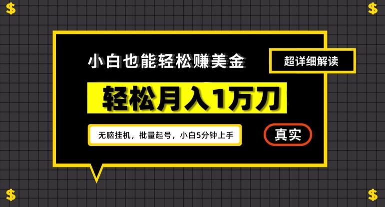 谷歌看广告撸美金2.0，无脑挂机，多号操作，月入1万刀【揭秘】-云创网