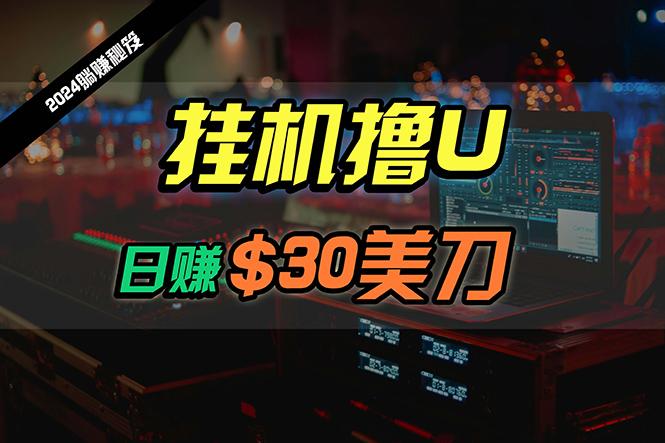 (10013期)日赚30美刀，2024最新海外挂机撸U内部项目，全程无人值守，可批量放大-云创网