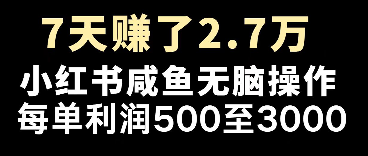 最赚钱项目之一，2025爆火，逆风翻盘！-云创网