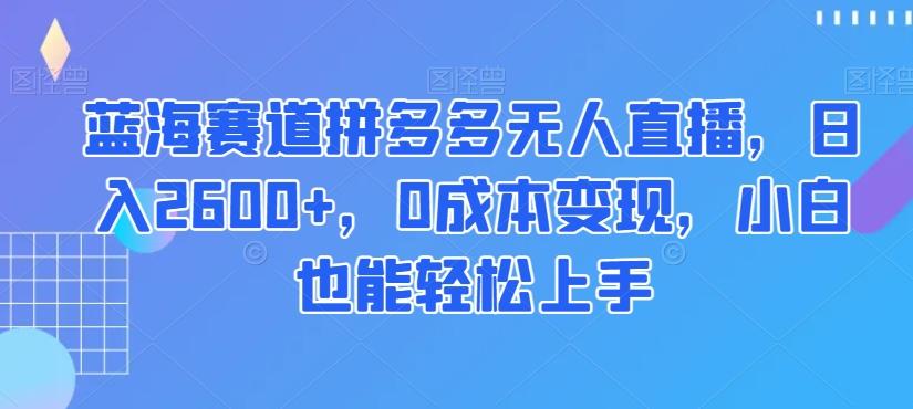 蓝海赛道拼多多无人直播，日入2600+，0成本变现，小白也能轻松上手【揭秘】-云创网