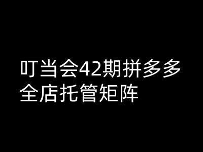 叮当会拼多多打爆班原创高阶技术第42期，拼多多全店托管矩阵-云创网