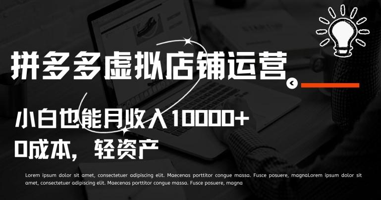 拼多多虚拟店铺运营小白也能月收入10000+【揭秘】-云创网