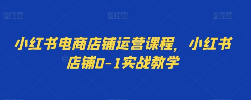 小红书电商店铺运营课程，小红书店铺0-1实战教学-云创网