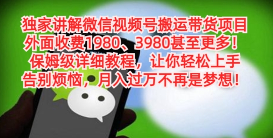 独家讲解微信视频号搬运带货项目，保姆级详细教程-云创网