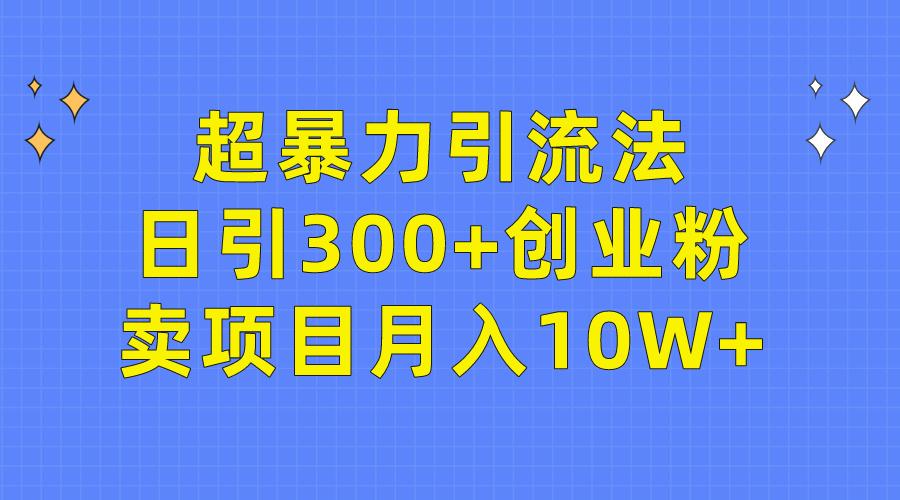 (9954期)超暴力引流法，日引300+创业粉，卖项目月入10W+-云创网