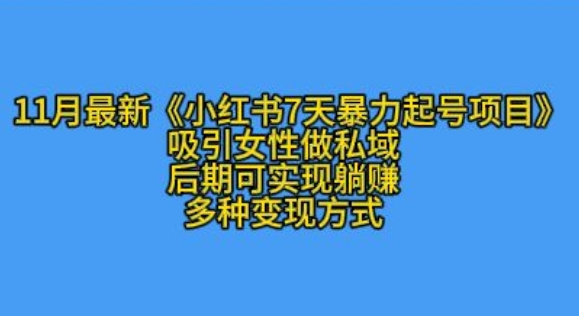 K总部落11月最新小红书7天暴力起号项目，吸引女性做私域【揭秘】-云创网