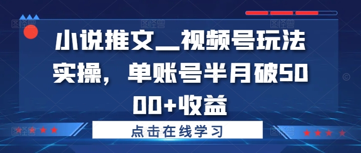 小说推文—视频号玩法实操，单账号半月破5000+收益-云创网