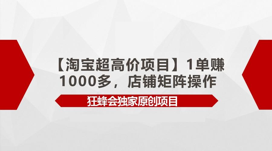 【淘宝超高价项目】1单赚1000多，店铺矩阵操作-云创网