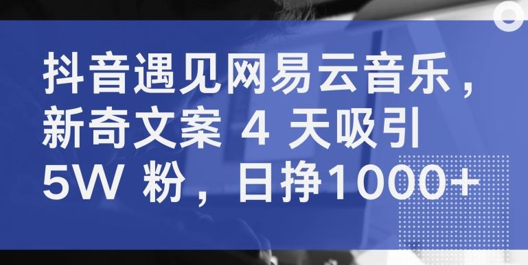 抖音遇见网易云音乐，新奇文案 4 天吸引 5W 粉，日挣1000+【揭秘】-云创网
