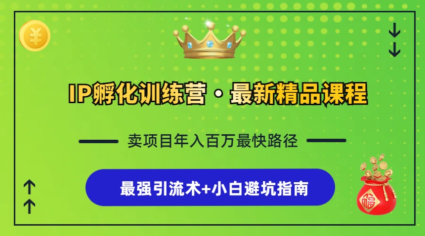 IP孵化训练营，知识付费全流程+最强引流术+小白避坑指南-云创网