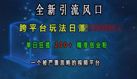 全新引流风口，跨平台玩法日入上k，单日狂揽200+精准创业粉，一个被严重忽略的视频平台-云创网