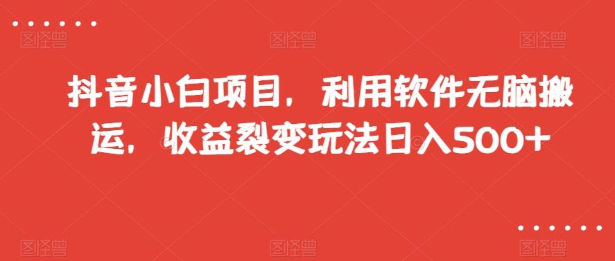 抖音小白项目，利用软件无脑搬运，收益裂变玩法日入500+【揭秘】-云创网