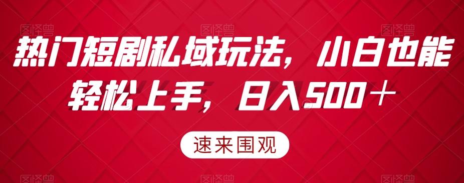 热门短剧私域玩法，小白也能轻松上手，日入500＋-云创网