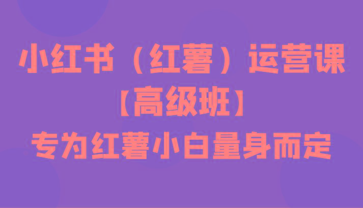 小红书(红薯)运营课【高级班】，专为红薯小白量身而定(42节课)-云创网