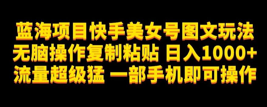 蓝海项目快手美女号图文玩法，无脑操作复制粘贴，日入1000+流量超级猛一部手机即可操作【揭秘】-云创网