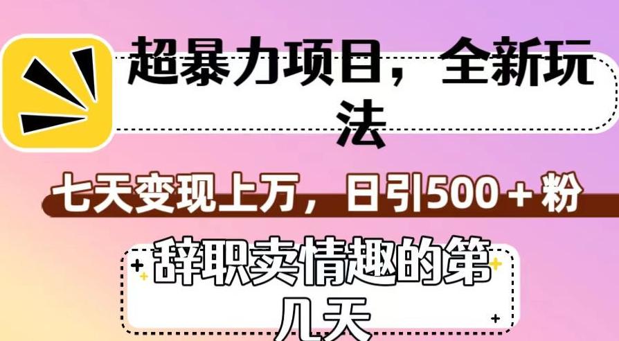 超暴利项目，全新玩法（辞职卖情趣的第几天），七天变现上万，日引500+粉【揭秘】-云创网