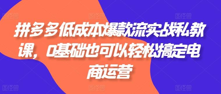 拼多多低成本爆款流实战私教课，0基础也可以轻松搞定电商运营-云创网