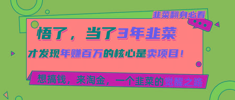 悟了，当了3年韭菜，才发现网赚圈年赚100万的核心是卖项目，含泪分享！-云创网
