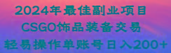 2024年最佳副业项目 CSGO饰品装备交易 轻易操作单账号日入200+-云创网