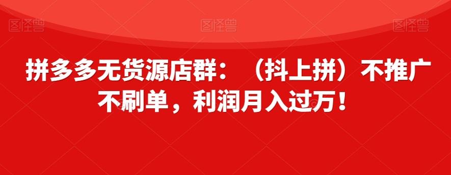 拼多多无货源店群：（抖上拼）不推广不刷单，利润月入过万！【揭秘】-云创网