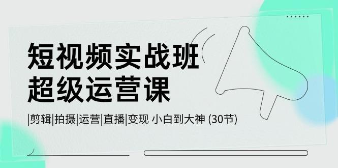 短视频实战班超级运营课 |剪辑|拍摄|运营|直播|变现 小白到大神 (30节)-云创网