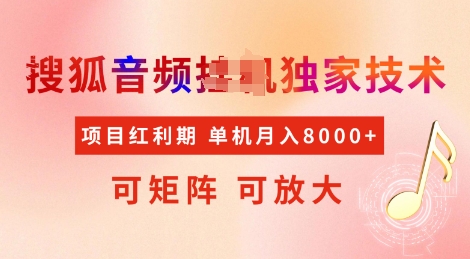 全网首发搜狐音频挂JI独家技术，项目红利期，可矩阵可放大，稳定月入8k【揭秘】-云创网