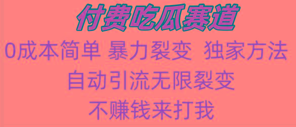 吃瓜付费赛道，暴力无限裂变，0成本，实测日入700+！！！-云创网