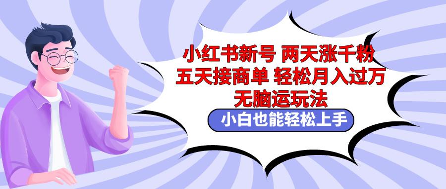 小红书新号两天涨千粉五天接商单轻松月入过万 无脑搬运玩法 小白也能轻...-云创网