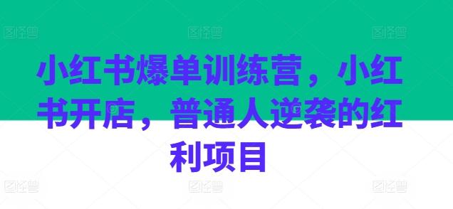 小红书爆单训练营，小红书开店，普通人逆袭的红利项目-云创网