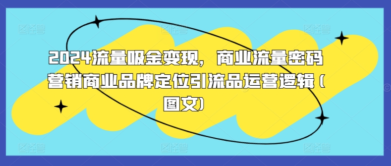 2024流量吸金变现，商业流量密码营销商业品牌定位引流品运营逻辑(图文)-云创网