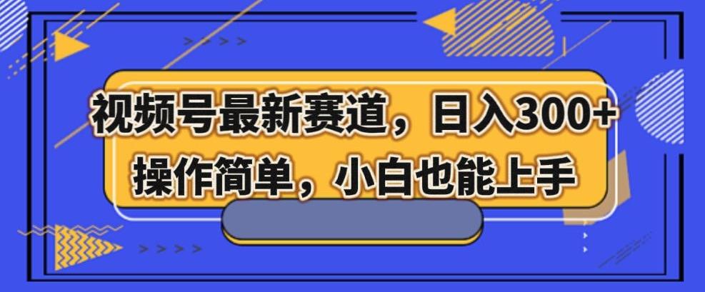 视频号最新赛道，日入300+，新手小白轻松掌握-云创网