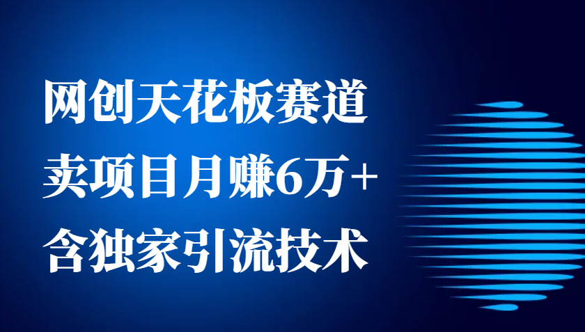 网创天花板赛道，卖项目月赚6万+，含独家引流技术(共26节课)-云创网